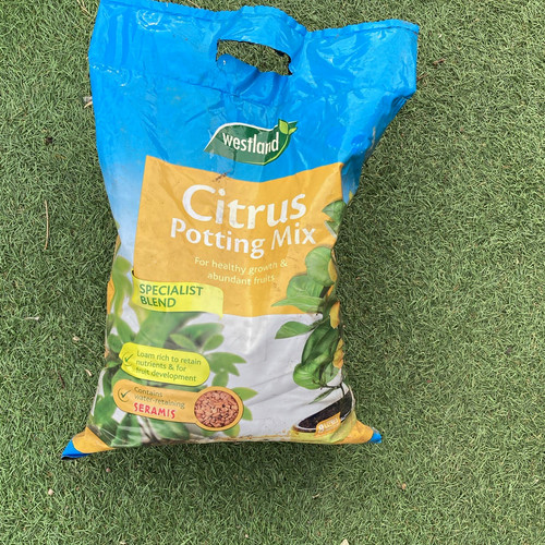 Westland citrus potting soil - potting,