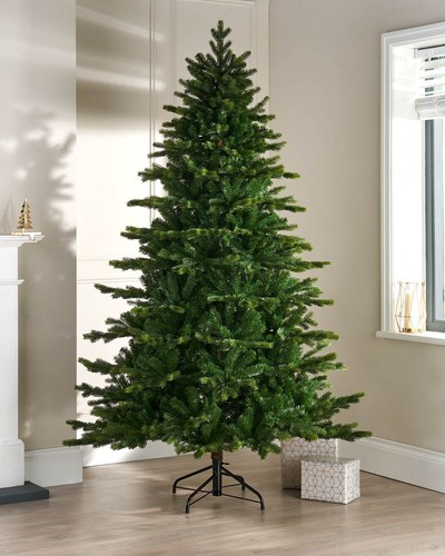 Himalayan fir christmas tree - himalayan,