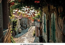 Flower Walk Path Garden