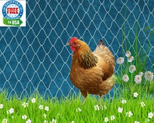 25' Poultry, Game Bird