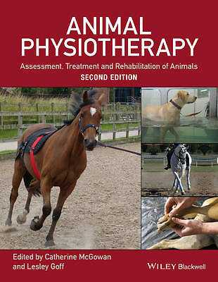 Animal physiotherapy - animal,