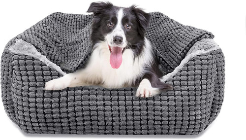 Joejoy rectangle dog - rectangle,