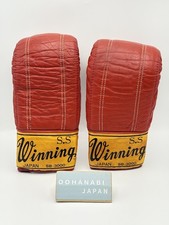 Winning Boxing Bag Punching