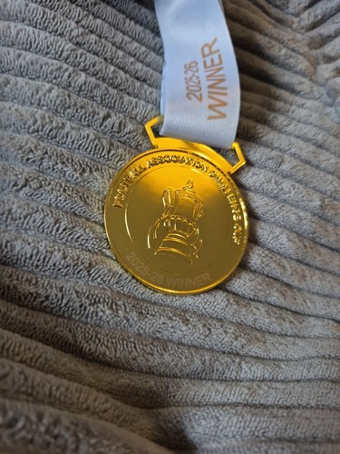 2026 cup winners medal - cup,