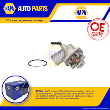 Coolant Thermostat fits