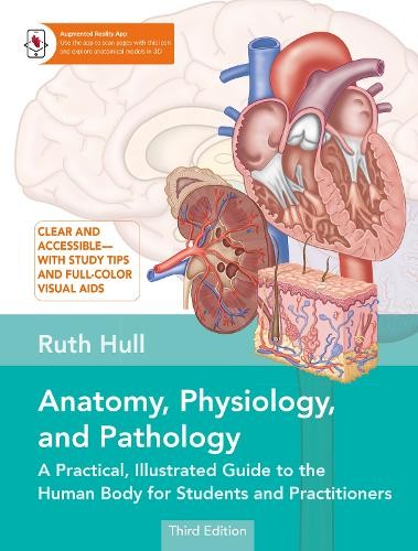Anatomy physiology and - anatomy,, physiology,
