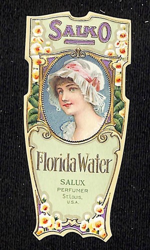 Salco florida water salux - florida,
