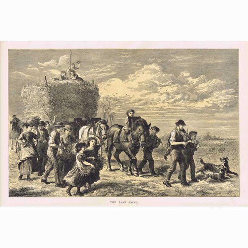 Farming rural hay making scene - farming,