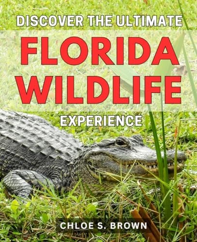 Discover the ultimate florida - the,