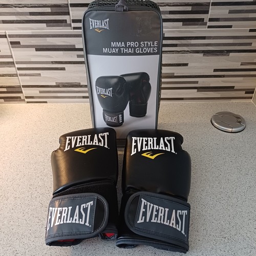 Everlast mma pro style muay - everlast,
