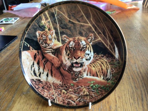 Tiger and cubs plate - plate, careful