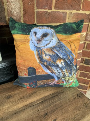 Square barn owl cushion - square,