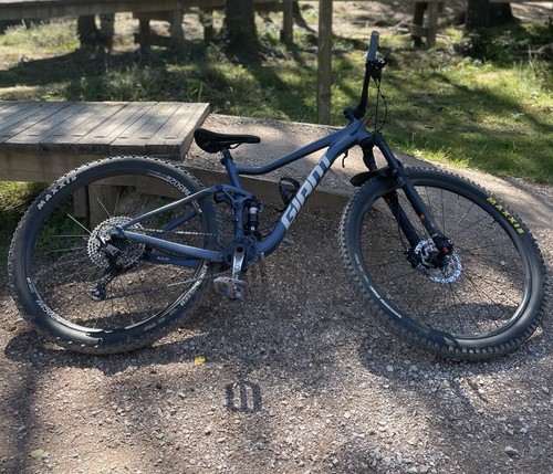 Giant stance 2022