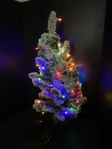 Bethlehem lights tree - bethlehem,