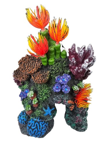 Aquarline coral fish tank - fish,