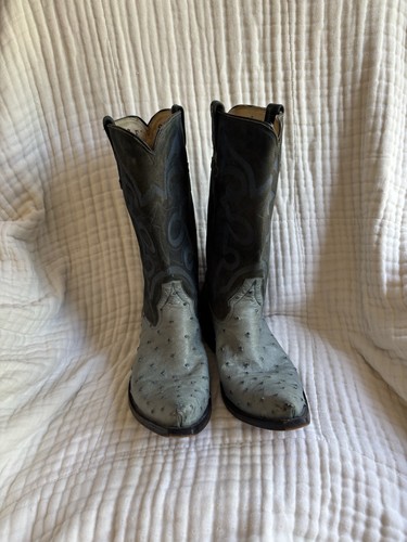 Newton blue ostrich - newton,