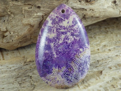 Purple fossil coral jasper - coral,