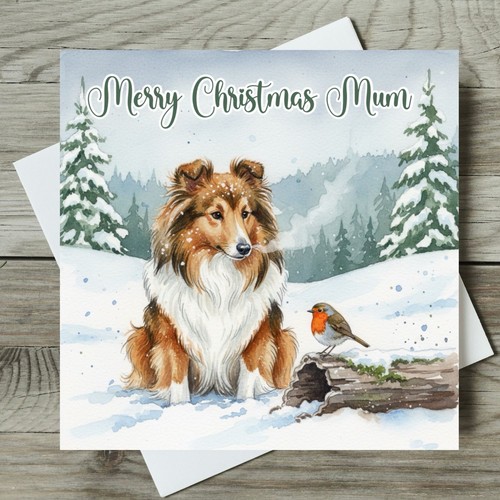 Sheltie christmas card - sheltie,