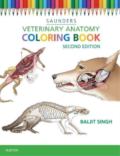 Veterinary anatomy coloring - veterinary,