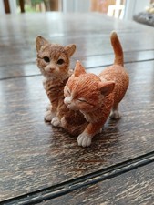 Country Artists Kittens