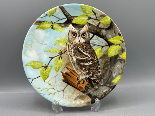 Coalport scops owl - scops,