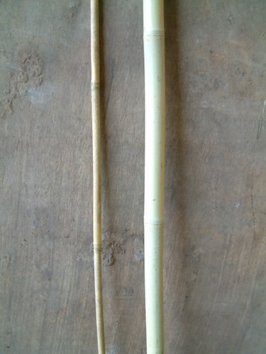 1metre bamboo poles - bamboo,