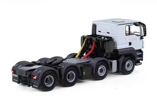 Wsi man tgs 8x4 - man,