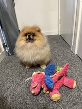 goDog  Dragon Plush Dog Toy Chew Guard Durable Squeaky Soft Coral