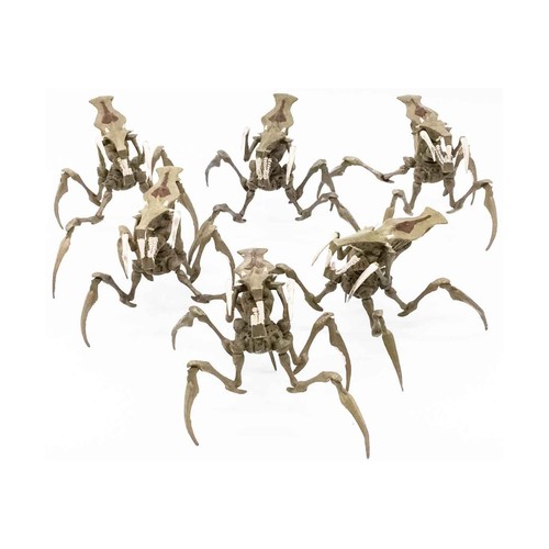 Mongoose starship troopers - mongoose,