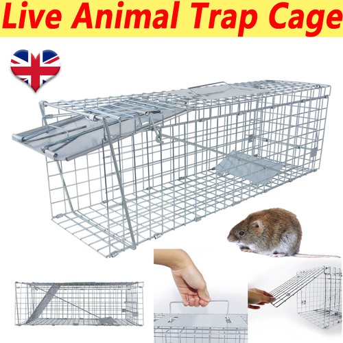 Humane live mouse trap indoors - mouse,