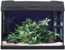 Swell fish tank - swell, uk