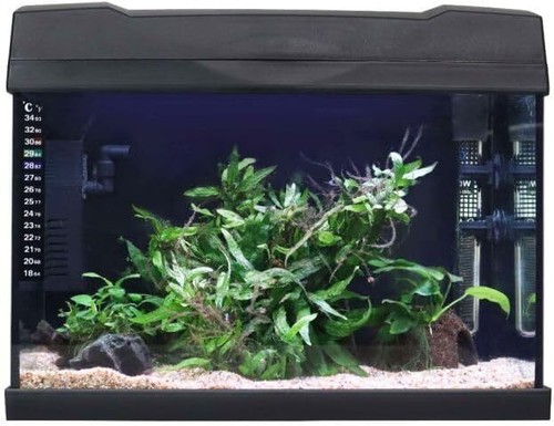 Swell fish tank 40cm - fish, |