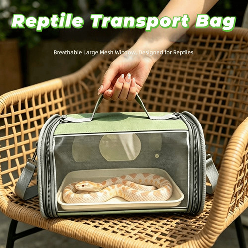 Top handle reptile transport - top,