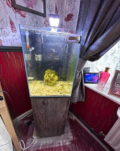 55l cube glass - 55l,
