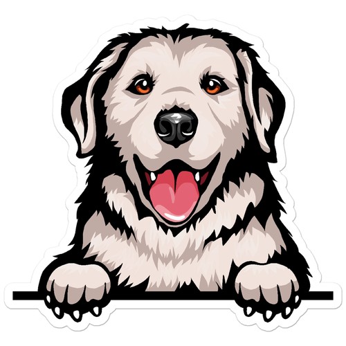 Peeking kuvasz dog vinyl - dog,