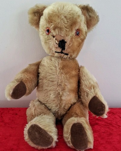 Pedigree teddy bear - pedigree,