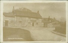 Conder Green Real Photo Stork