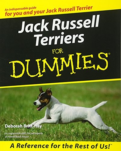 Jack russell terriers - terriers, for