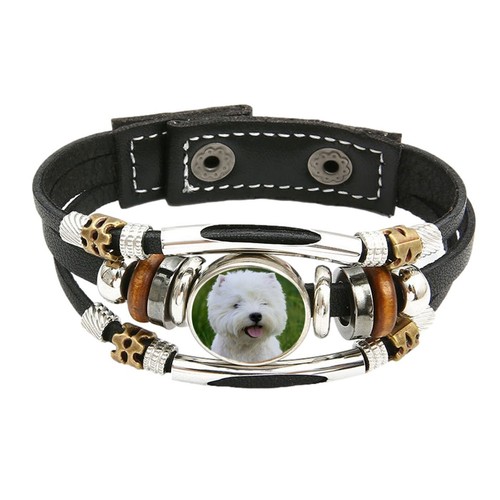 Westie dog pet - dog, brown