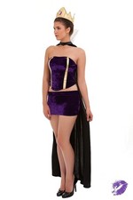 Ladies medieval fancy dress - ladies,