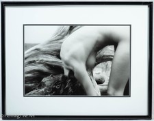 Laurie Coppedge Fine Art