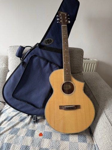 Ozark guitar with case - ozark,