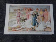 Artist Signed Constance Symonds Wild Swan Postcard - 99817