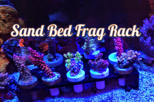 Coral frag rack - coral,