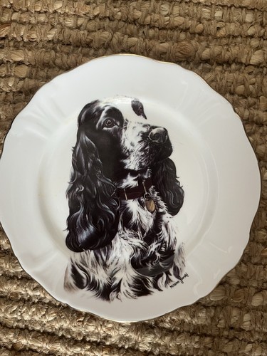Fine bone china collector - fine,