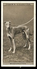 Ogden's - 'Greyhound Racing