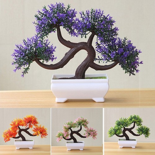 High grade bonsai potted - grade,