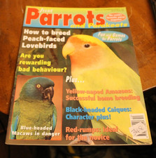 Just parrots and - and, #12