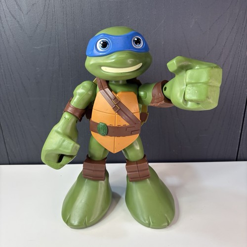 Teenage mutant ninja turtles - ninja,