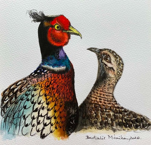 Pheasants original - pheasants,,